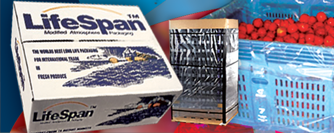 Banner Ad Design by PATRICK KING GRAPHICS for this project | Design #329141