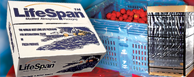 Banner Ad Design by PATRICK KING GRAPHICS for this project | Design #329152