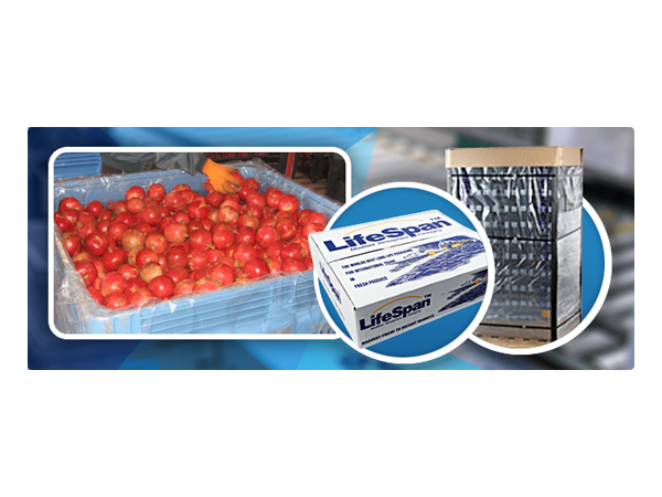 Banner Ad Design by yadunath for this project | Design #329627