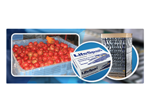 Banner Ad Design by yadunath for this project | Design: #329627