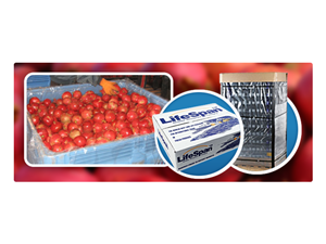 Banner Ad Design by yadunath for this project | Design: #329629