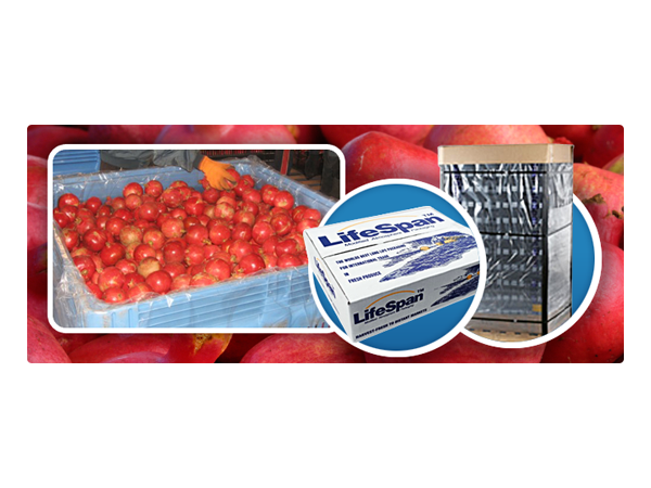 Banner Ad Design by yadunath for this project | Design #330692