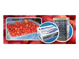 Banner Ad Design by yadunath for this project | Design: #330692