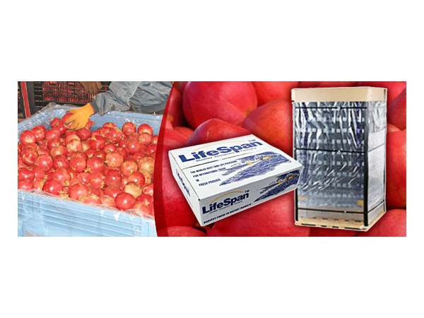 Banner Ad Design by yadunath for this project | Design #330767