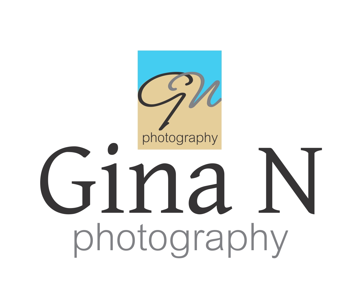 Logo Design by briliana for this project | Design #338699