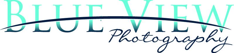 Logo Design by Design Possibilities for this project | Design #337057