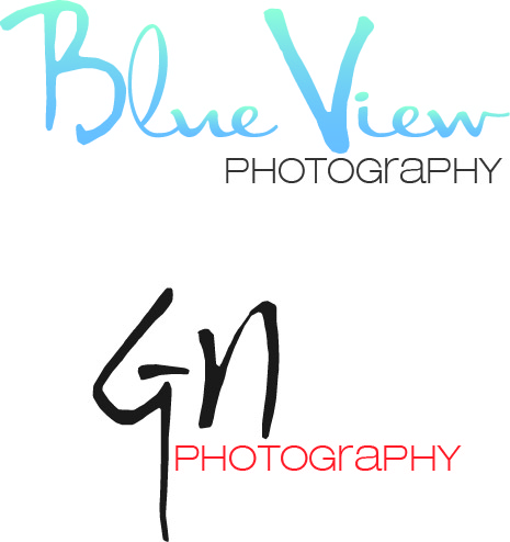 Logo Design by Design Possibilities for this project | Design #337059