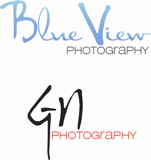Logo Design by Design Possibilities for this project | Design: #337059