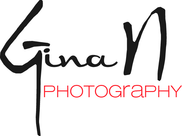 Logo Design by Design Possibilities for this project | Design #337966