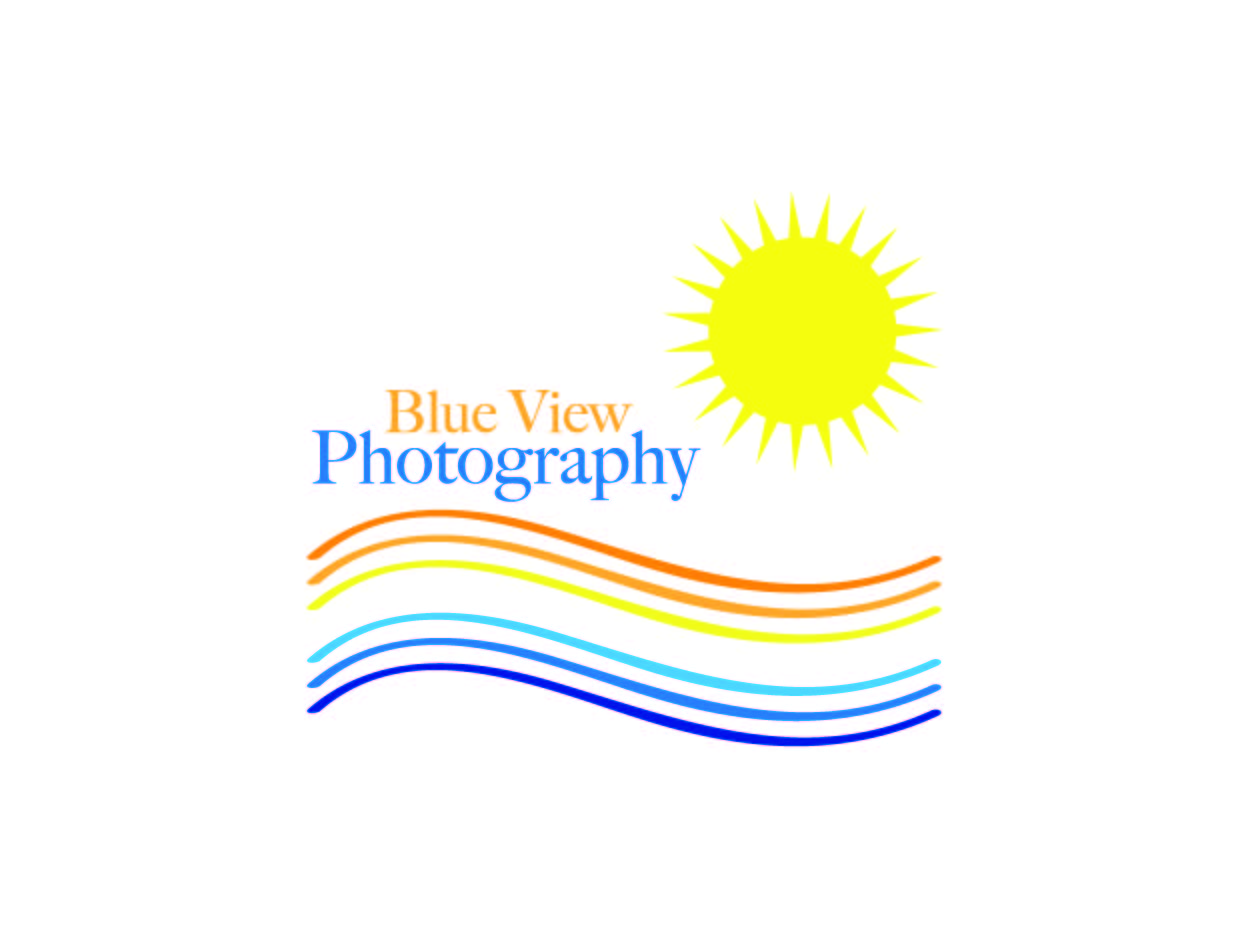 Logo Design by MissBri1991 for this project | Design #327891