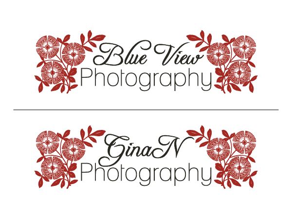 Diseño de Logo por blueskydesign para este proyecto | Diseño #337863