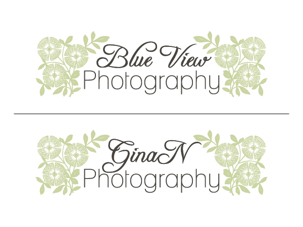 Logo Design by blueskydesign for this project | Design #337864