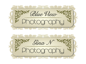 Logo Design by blueskydesign for this project | Design: #337865