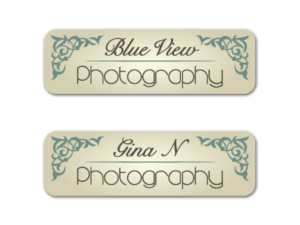 Logo Design by blueskydesign for this project | Design #337866