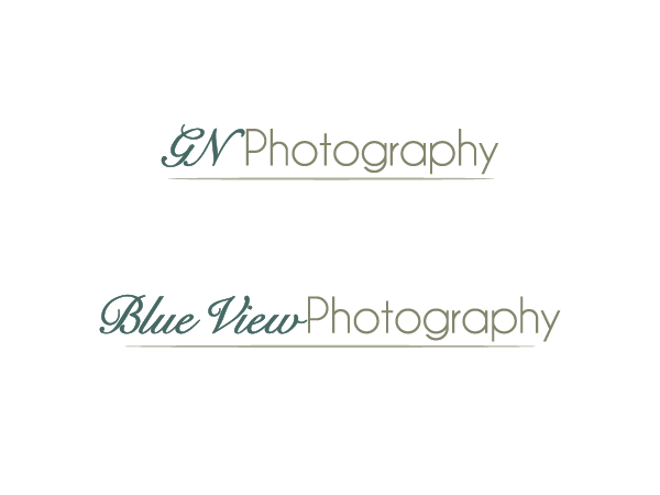 Logo Design by blueskydesign for this project | Design #337869