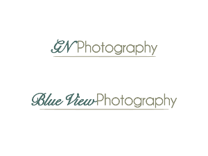 Logo Design by blueskydesign for this project | Design: #337869