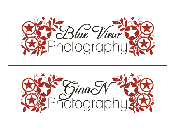Logo Design by blueskydesign for this project | Design #337980