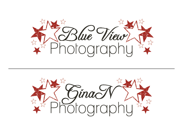 Logo Design by blueskydesign for this project | Design #337982