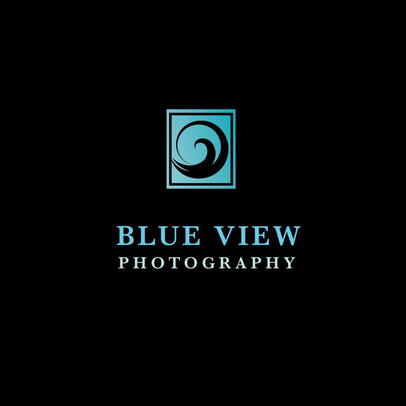 Logo Design by a + m for this project | Design #327850