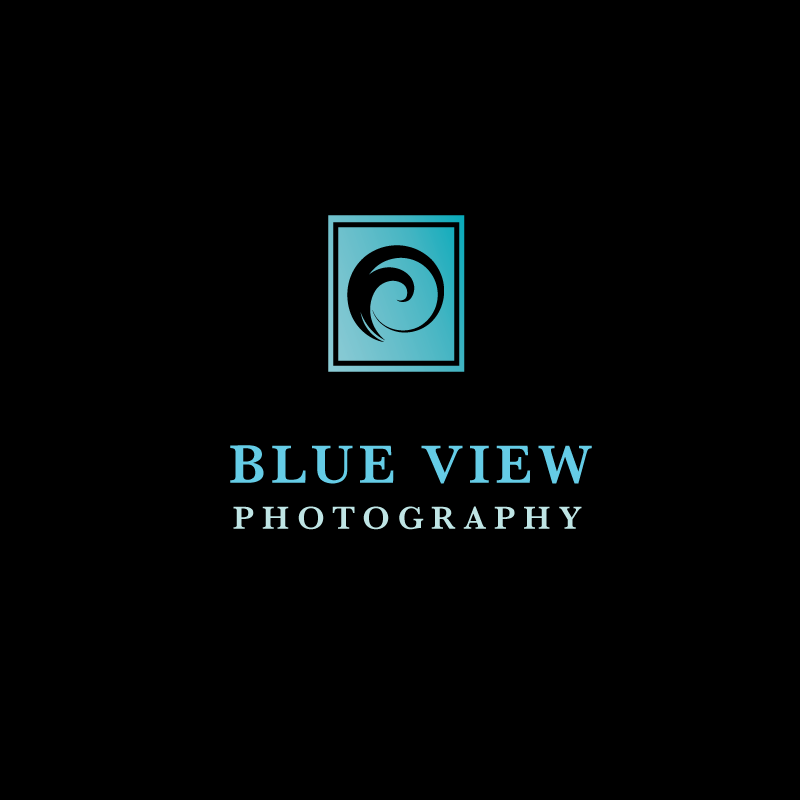 Logo Design by a + m for this project | Design #327860