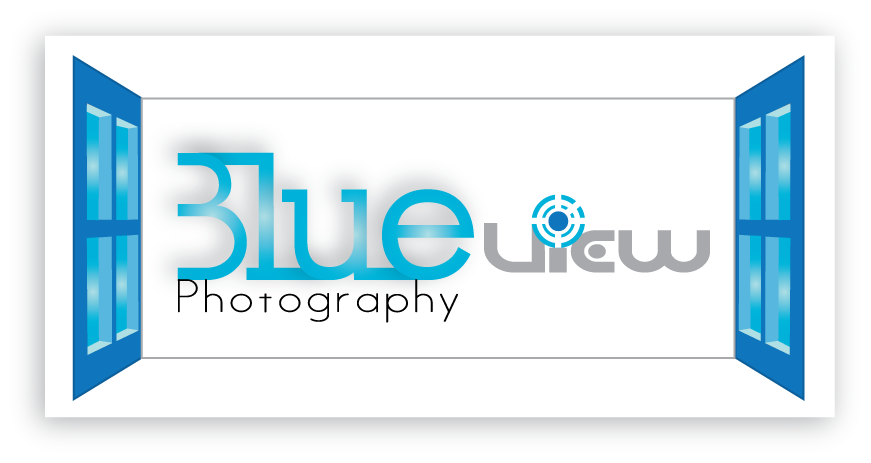 Logo-Design von jaiprakash für dieses Projekt | Design #335794