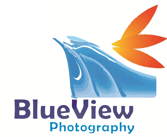 Logo Design by jecika84 for this project | Design #329020