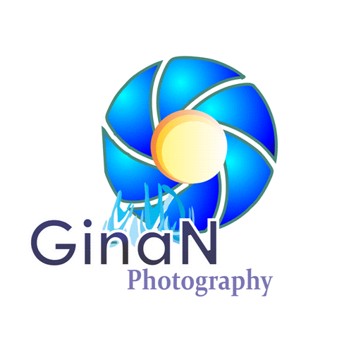 Logo Design by jecika84 for this project | Design #342336
