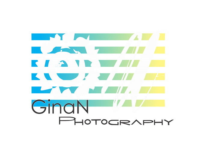 Logo Design by jecika84 for this project | Design #342338