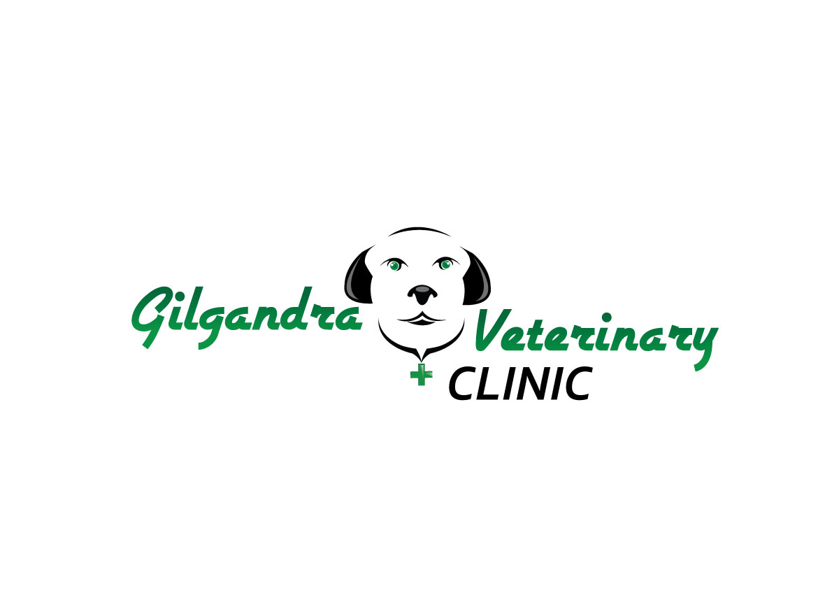 Logo-Design von Aeidan für dieses Projekt | Design #6247115