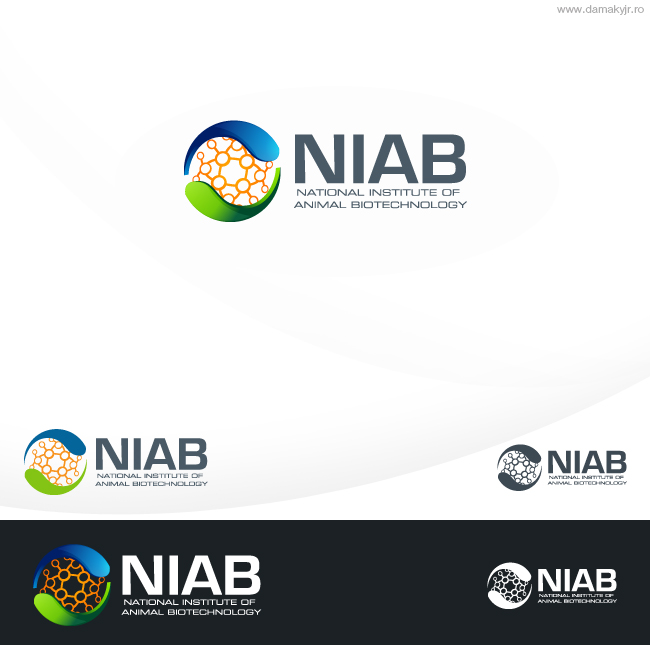 Logo Design by damakyjr for this project | Design #352371