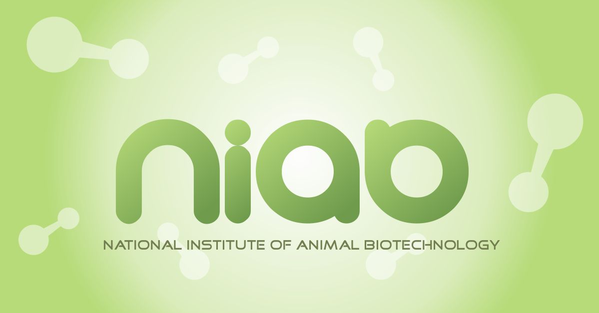 Logo Design by briliana for this project | Design #356666