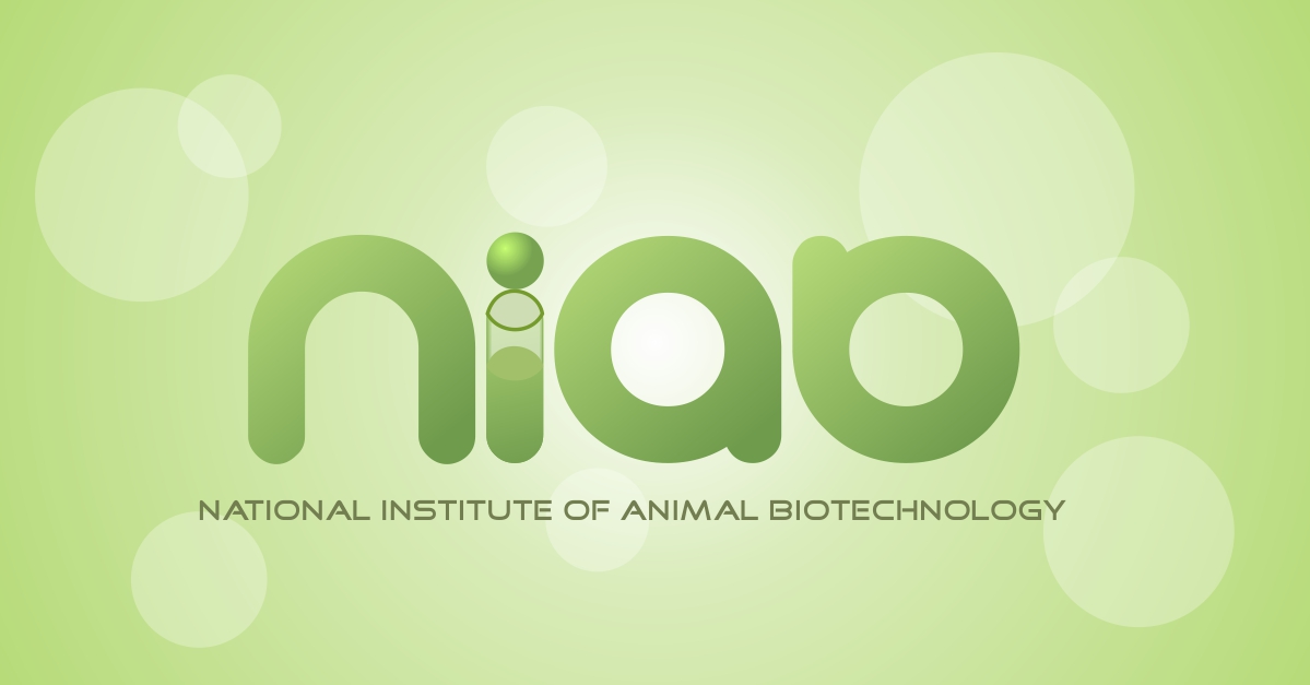 Logo Design by briliana for this project | Design #356737