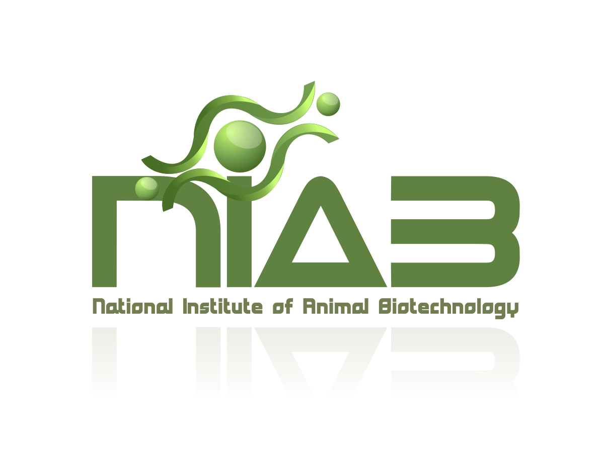 Logo Design by briliana for this project | Design #357809