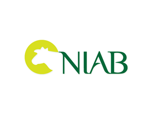 Logo Design by Anthony for this project | Design: #332251