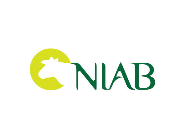 Logo Design by Anthony for this project | Design #344134