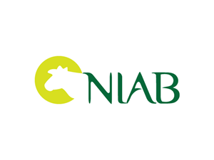 Logo Design by Anthony for this project | Design: #344134