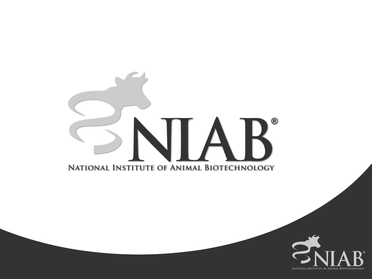 Logo Design by REDcrackers.com for this project | Design #343593