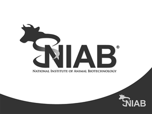 Logo Design by REDcrackers.com for this project | Design: #347914