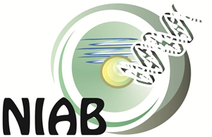 Logo Design by jecika84 for this project | Design: #331101