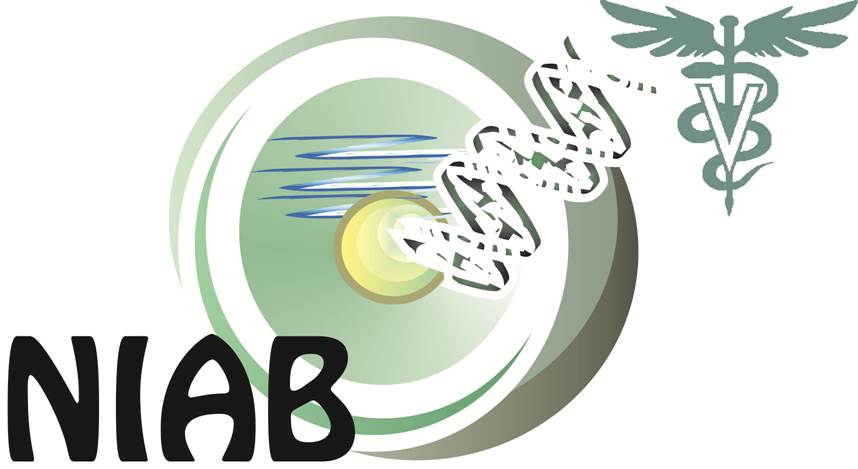 Logo Design by jecika84 for this project | Design #331341