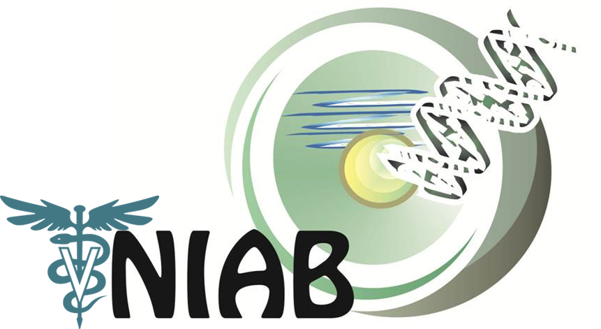 Logo Design by jecika84 for this project | Design #331343