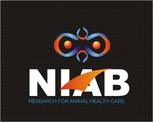 Logo Design by Agulu Kitaza