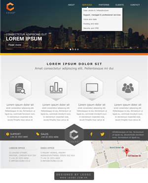 Web Design by Leo SC