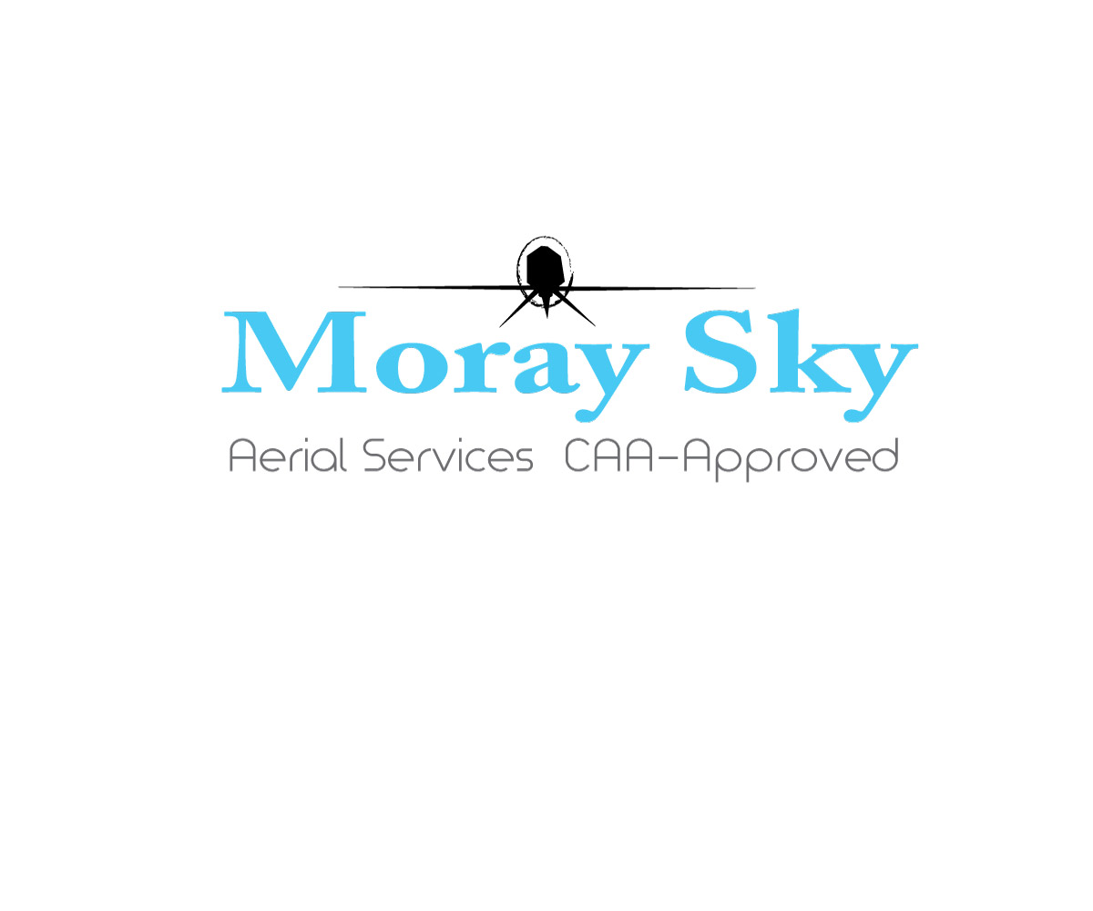 Logo Design by veena16 for Business Image Services Ltd | Design #6248304