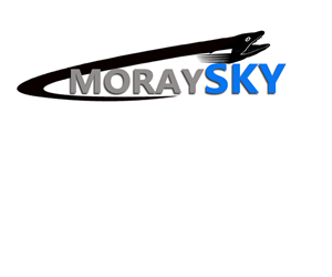 Logo Design by josenoelrodriguez for Business Image Services Ltd | Design #6225869