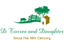 Logo Design by shantayelammie for this project | Design: #1658649