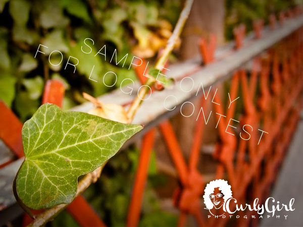 Logo Design by jeffreytd for CurlyGirl Photo | Design #334390