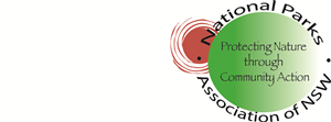 Logo Design by BJ Unger
