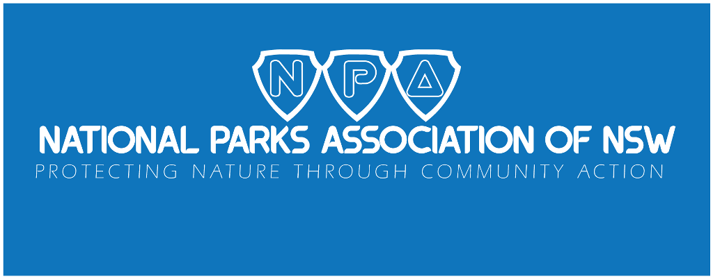 Diseño de Logo por Infiniti para National Parks Association | Diseño #6398449