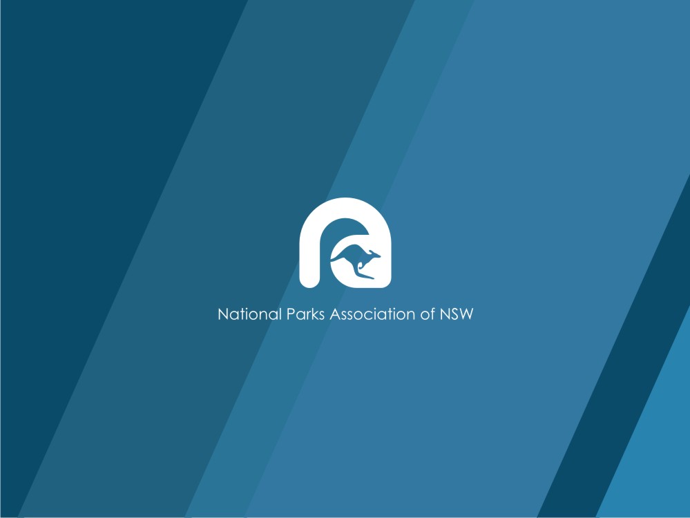 Diseño de Logo por Fifoconsult para National Parks Association | Diseño #6266306
